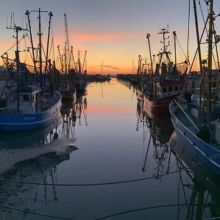 Luv * Dorumer Neufeld