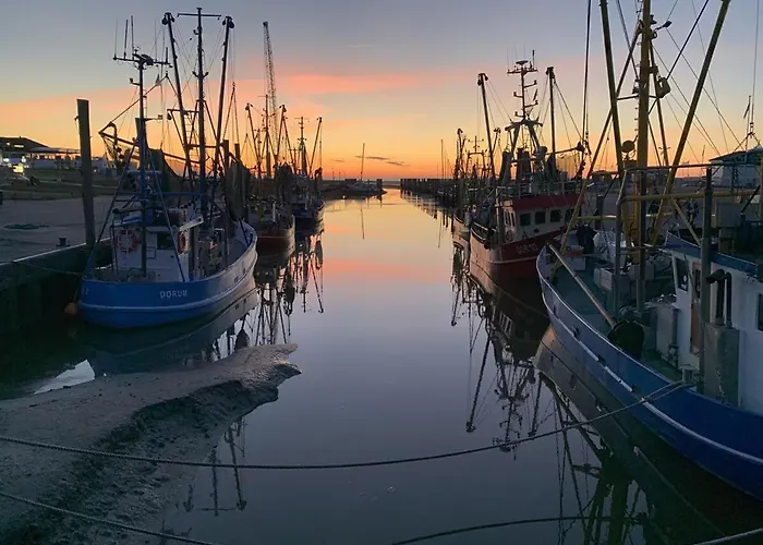 Luv * دورم نيوفيلد